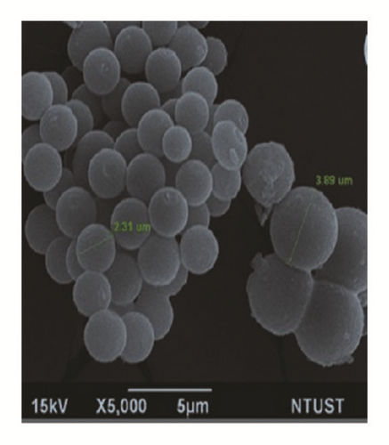 Details are in the caption following the image