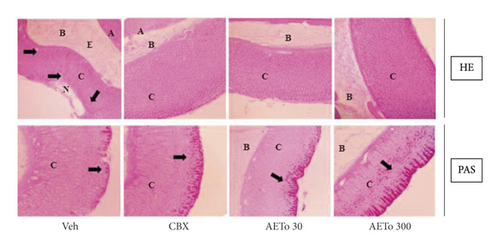 Details are in the caption following the image