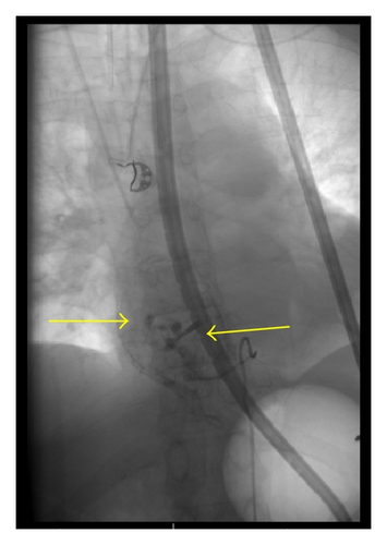 Details are in the caption following the image Details are in the caption following the image