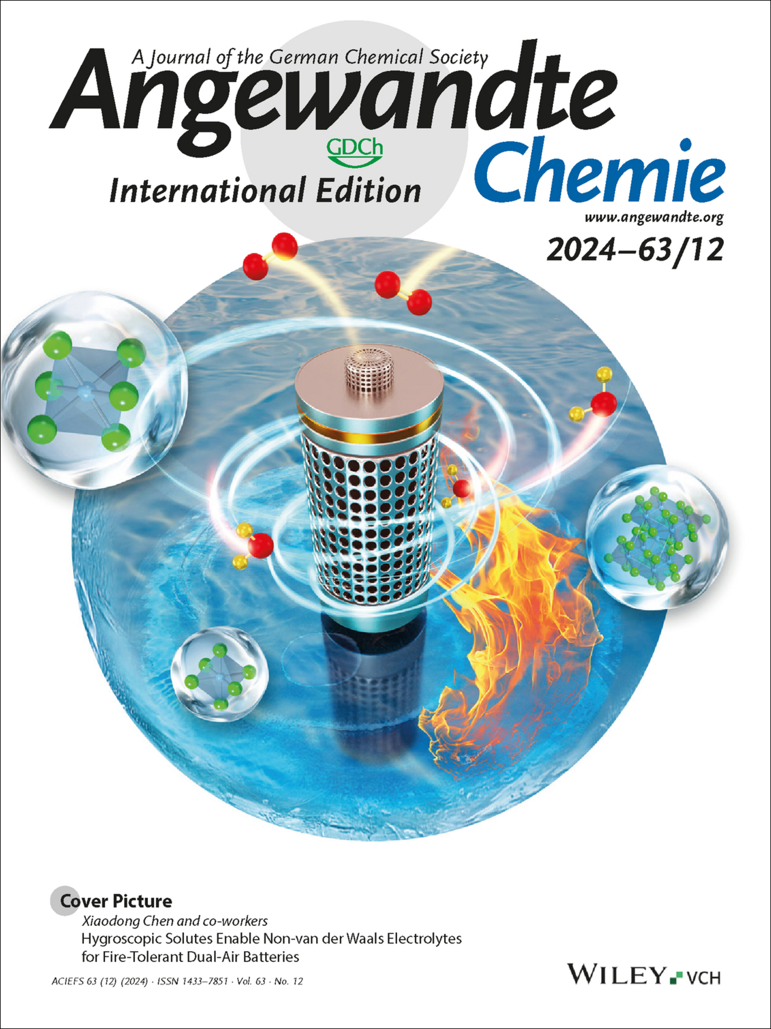 Cover Picture: Hygroscopic Solutes Enable Non-van der Waals Electrolytes for Fire-Tolerant Dual-Air Batteries (Angew. Chem. Int. Ed. 12/2024) Volume 63 Issue 12, 2024