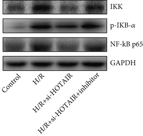 Details are in the caption following the image