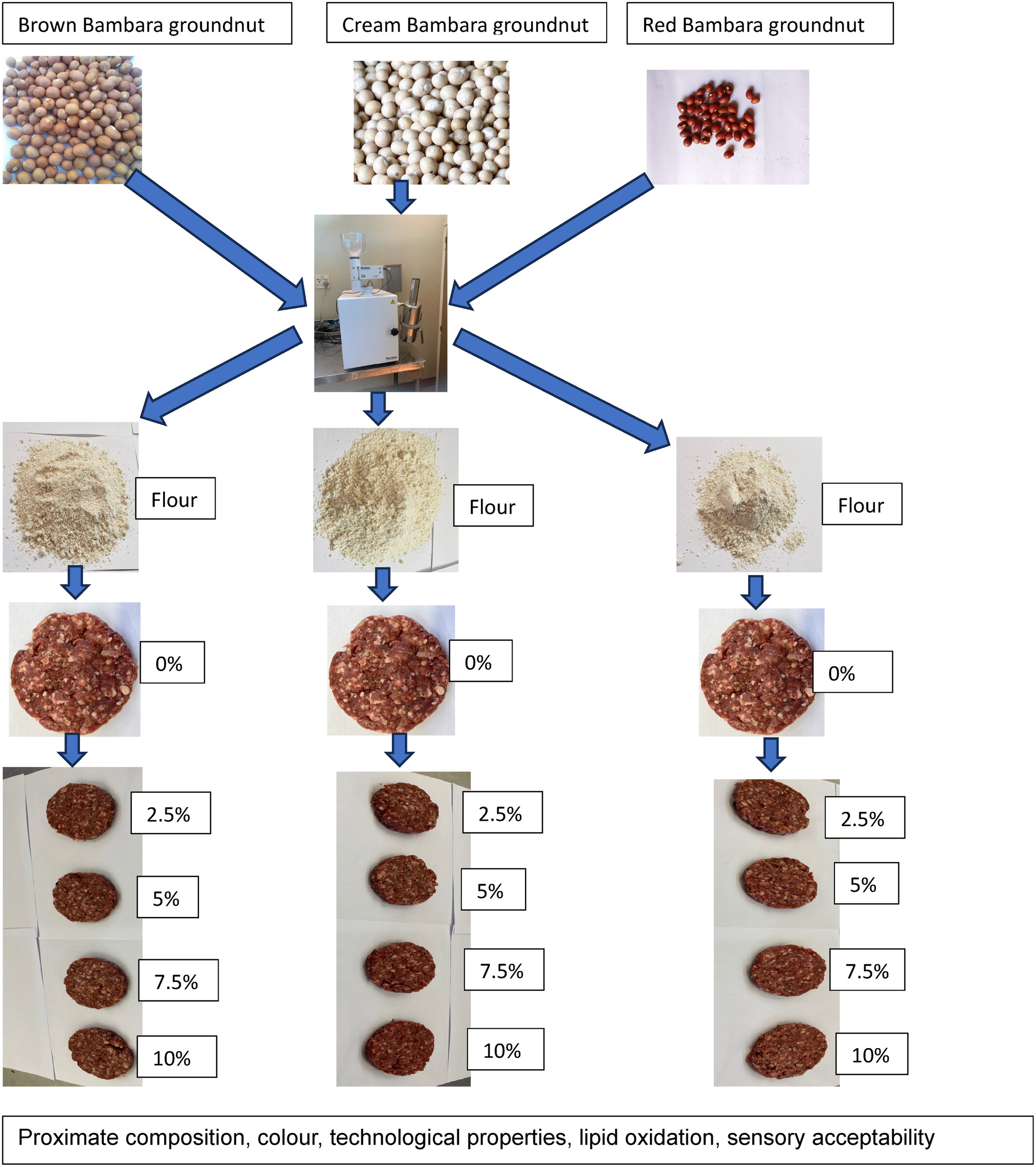 Effect of partial mutton meat substitution with Bambara groundnut (Vigna subterranea (L.) Verdc.) flour on physicochemical properties, lipid oxidation, and sensory acceptability of low-fat patties