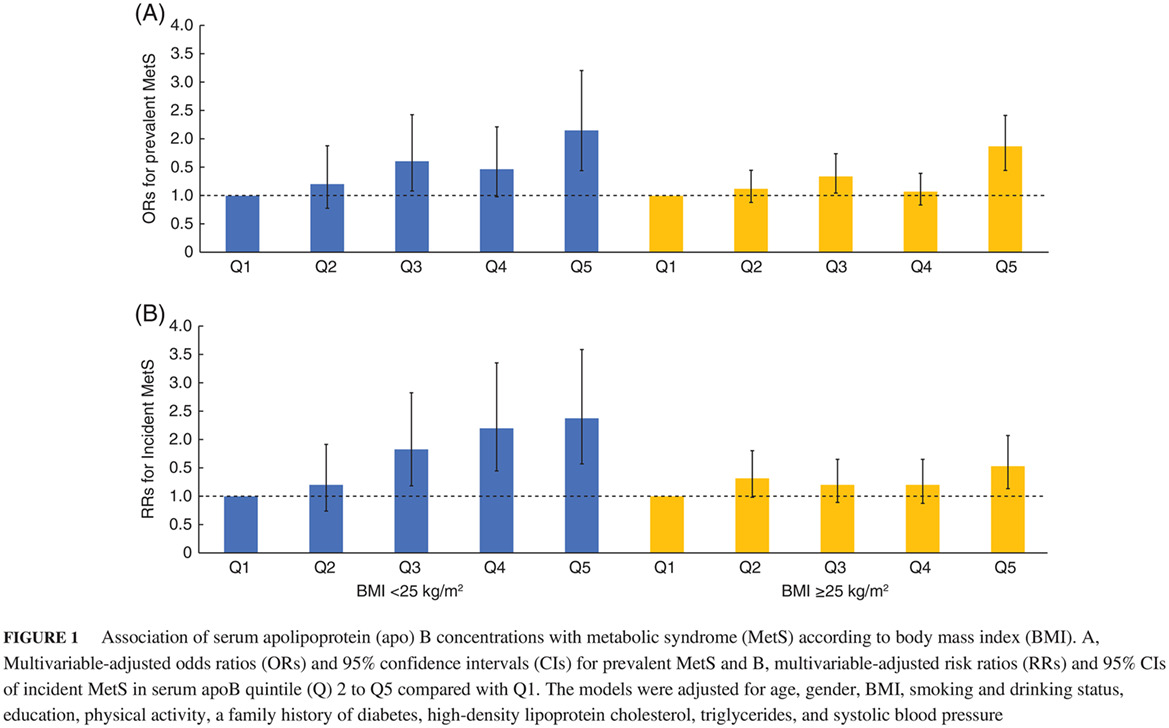 Serum apolipoprotein B is associated with increased risk of metabolic syndrome among middle-aged and elderly Chinese: A cross-sectional and prospective cohort study 血清载脂蛋白B与中国中老年人代谢综合征风险增加相关:一项横断面和前瞻性队列研究