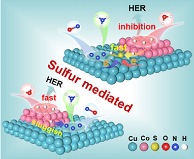 Sulfur Mediated Interfacial Proton-Directed Transfer Boosts Electrocatalytic Nitric Oxide Reduction to Ammonia over Dual-Site Catalysts