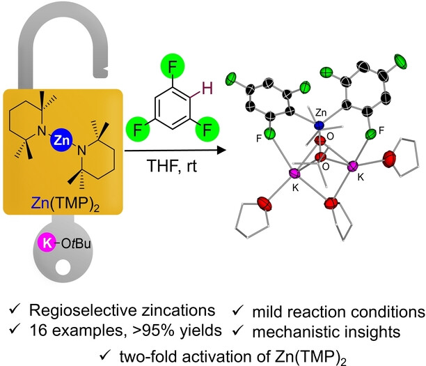 Alkali-Metal-Alkoxide Powered Zincation of Fluoroarenes Employing Zinc Bis-Amide Zn(TMP)2