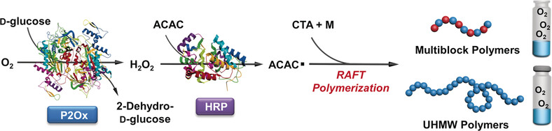 Enzymatic Cascade Catalysis for the Synthesis of Multiblock and Ultrahigh-Molecular-Weight Polymers with Oxygen Tolerance