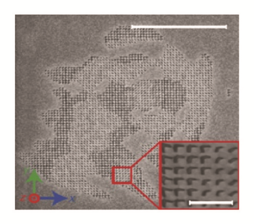 Details are in the caption following the image