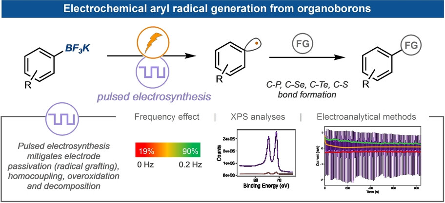 Electrochemical Generation of Aryl Radicals from Organoboron Reagents Enabled by Pulsed Electrosynthesis