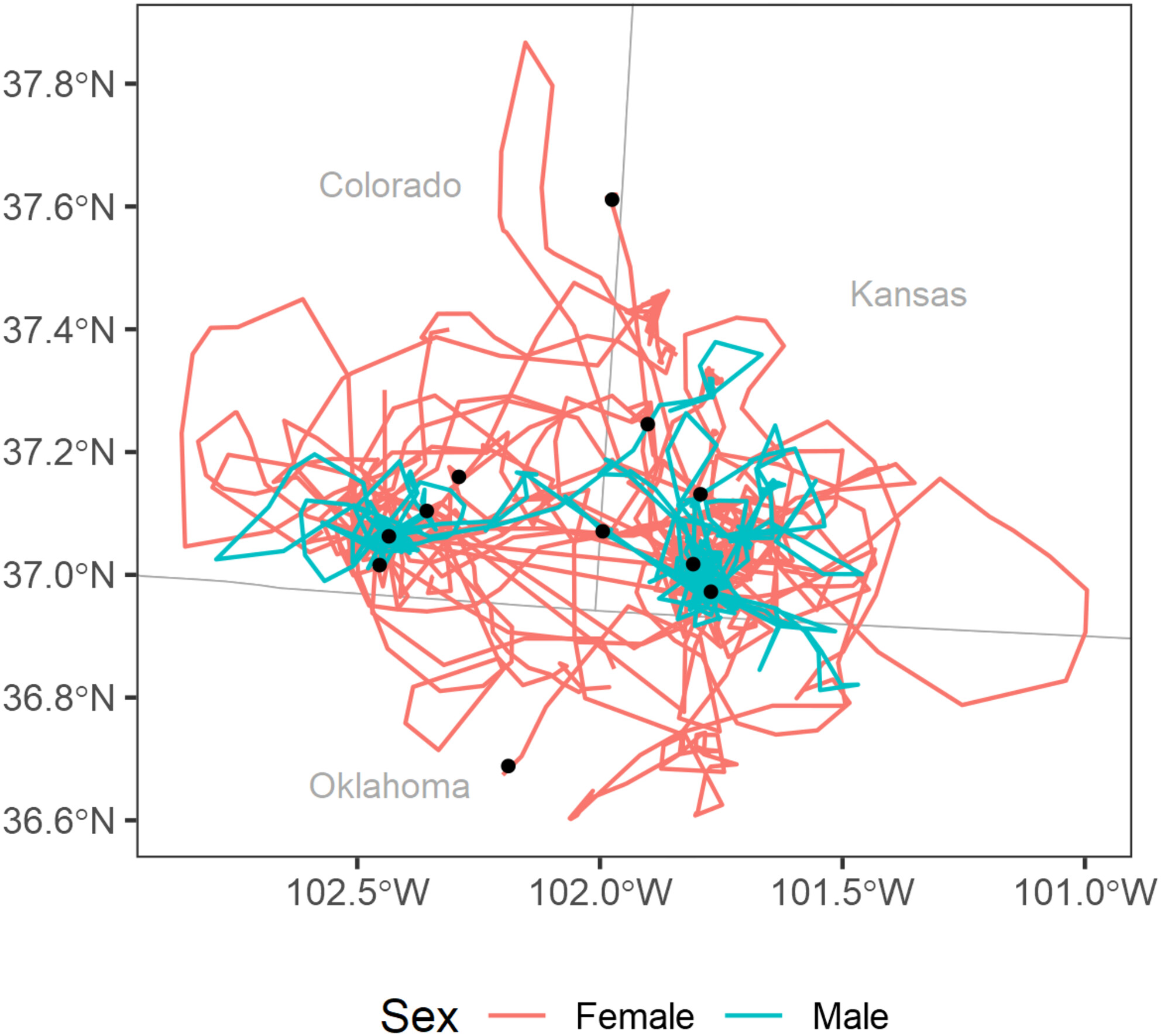 Lesser prairie-chicken dispersal after translocation: Implications for restoration and population connectivity