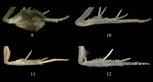 Details are in the caption following the image