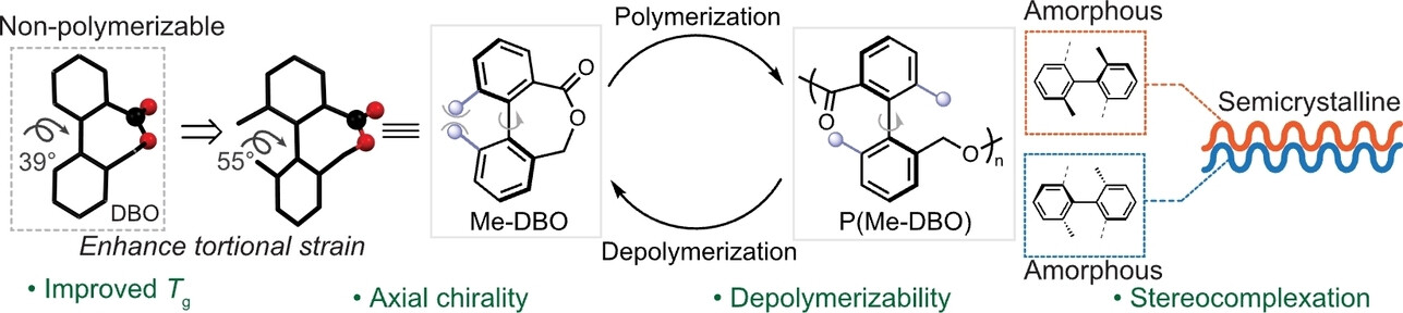 Torsional Strain Enabled Ring-Opening Polymerization towards Axially Chiral Semiaromatic Polyesters with Chemical Recyclability