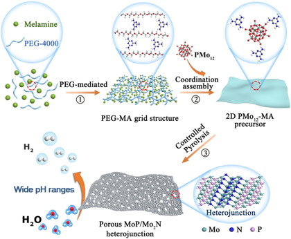 Two-Dimensional Porous Molybdenum Phosphide/Nitride Heterojunction Nanosheets for pH-Universal Hydrogen Evolution Reaction