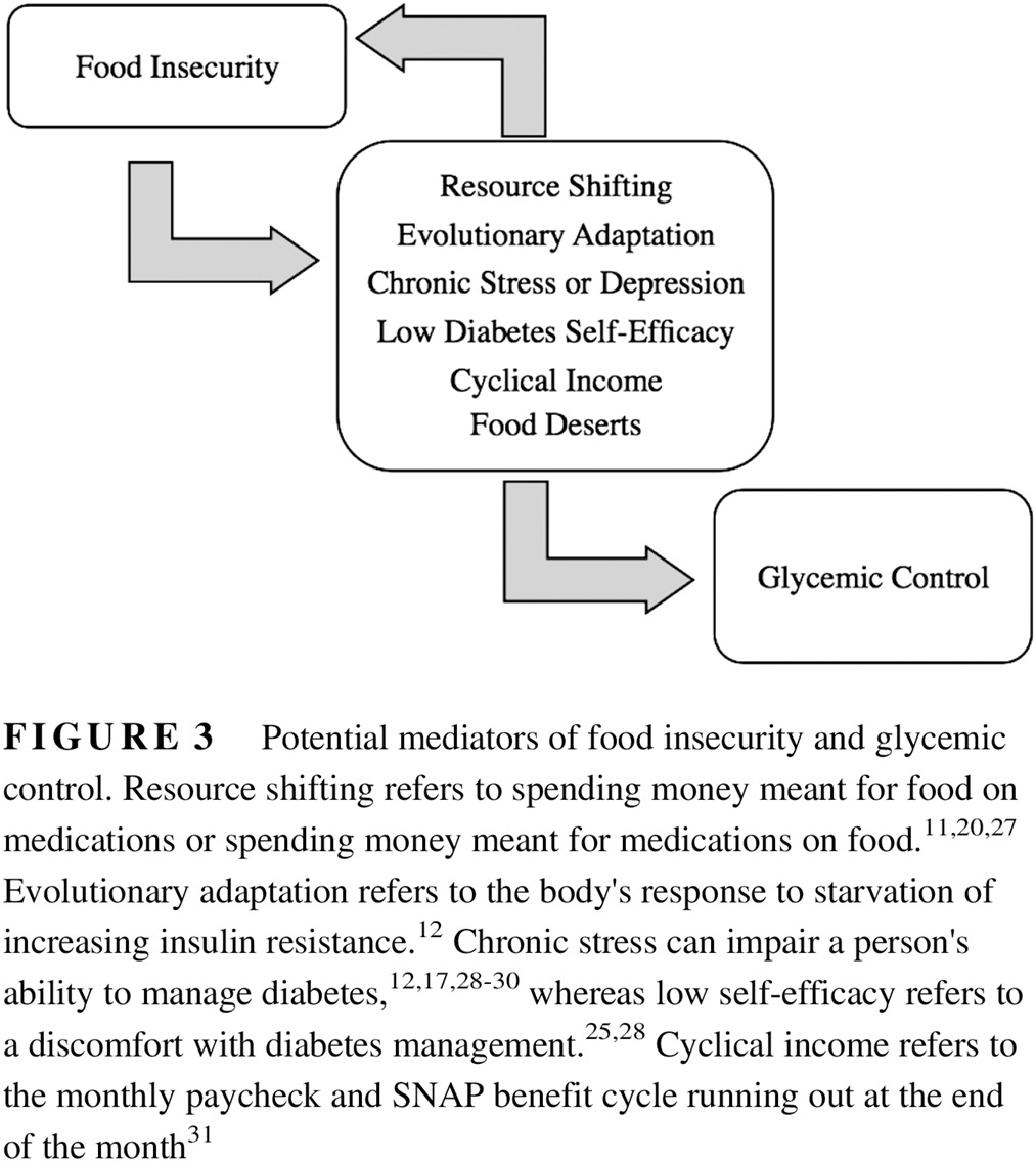 Emerging trends and the clinical impact of food insecurity in patients with diabetes 食品安全问题对糖尿病患者的新趋势和临床影响