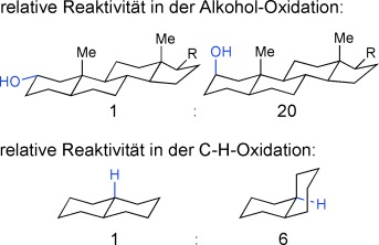 Strain Release in C<span class='icomoon'></span>H Bond Activation?