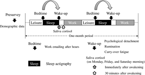 Details are in the caption following the image Details are in the caption following the image