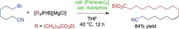 Iron-Catalyzed Alkyl–Alkyl Suzuki–Miyaura Coupling