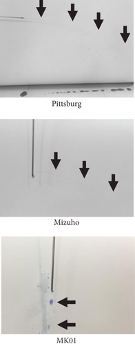 Details are in the caption following the image