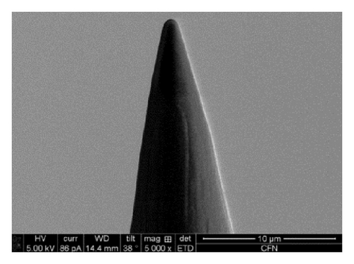 Details are in the caption following the image