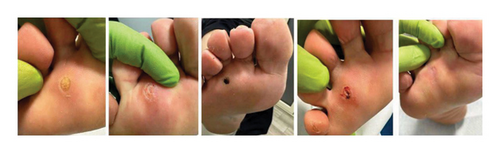 Details are in the caption following the image Details are in the caption following the image
