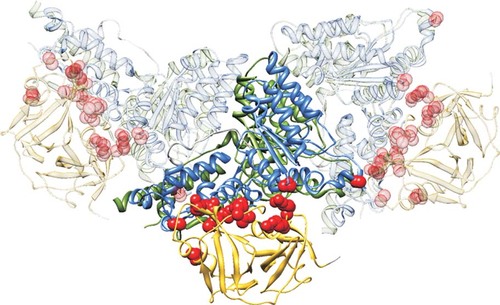 Details are in the caption following the image Details are in the caption following the image