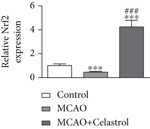 Details are in the caption following the image