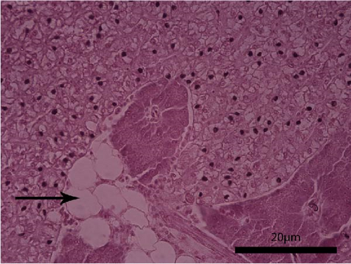 Details are in the caption following the image