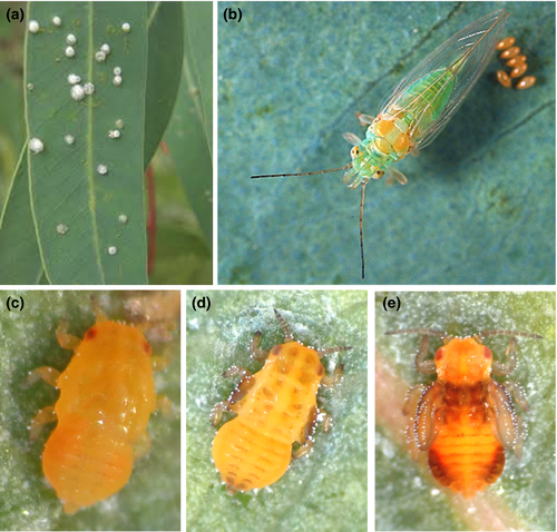 Details are in the caption following the image Details are in the caption following the image