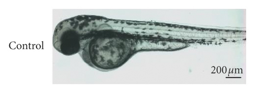 Details are in the caption following the image