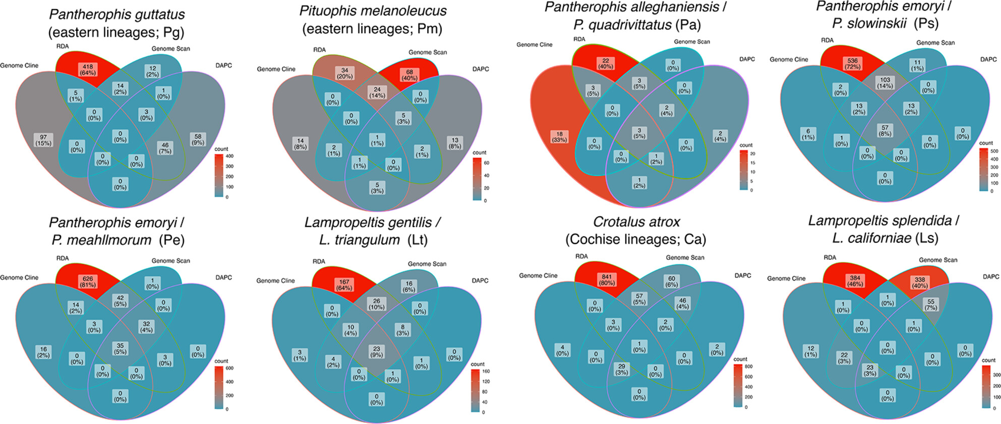 Understanding species limits through the formation of phylogeographic lineages