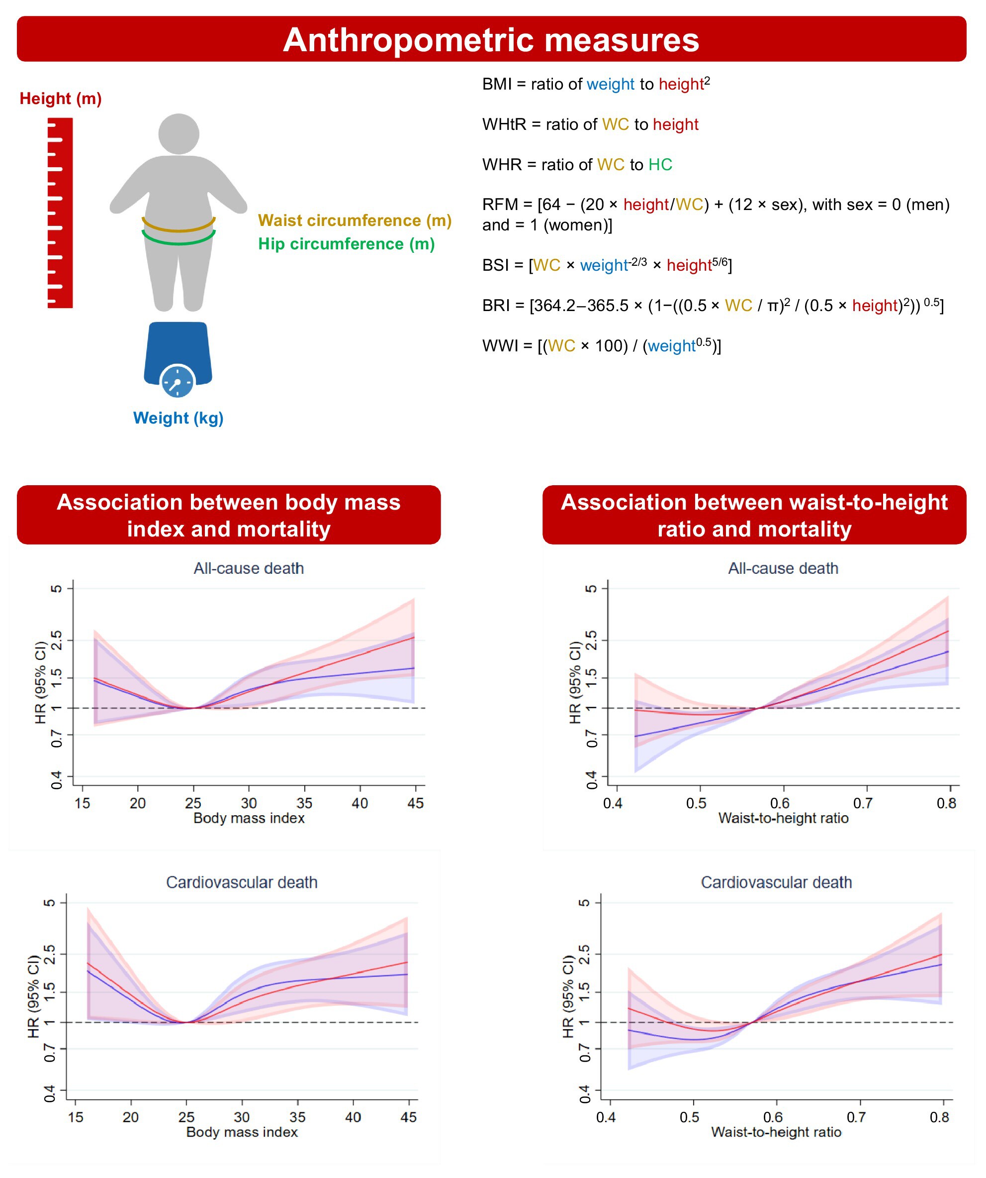 Anthropometric measures and long-term mortality in non-ischaemic heart failure with reduced ejection fraction: Questioning the obesity paradox