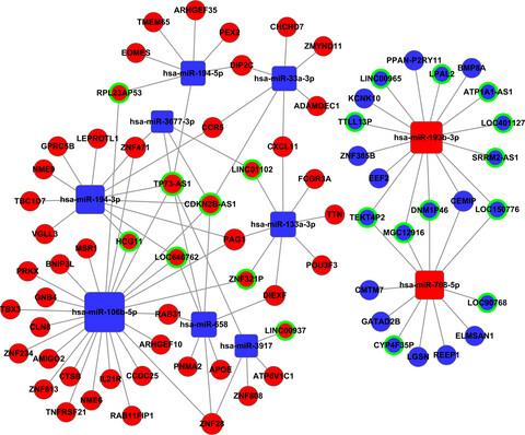 Integrative analysis of competing endogenous RNA network focusing on long noncoding RNA associated with progression of cutaneous melanoma