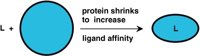 Understanding Noncovalent Interactions: Ligand Binding Energy and Catalytic Efficiency from Ligand-Induced Reductions in Motion within Receptors and Enzymes