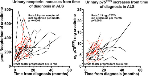 Urinary neopterin: A novel biomarker of disease progression in amyotrophic lateral sclerosis