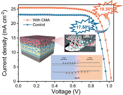 Constructing n/n− Type Perovskite Homojunctions to Achieve High-Efficiency and Stable Printable Mesoscopic Perovskite Solar Cells