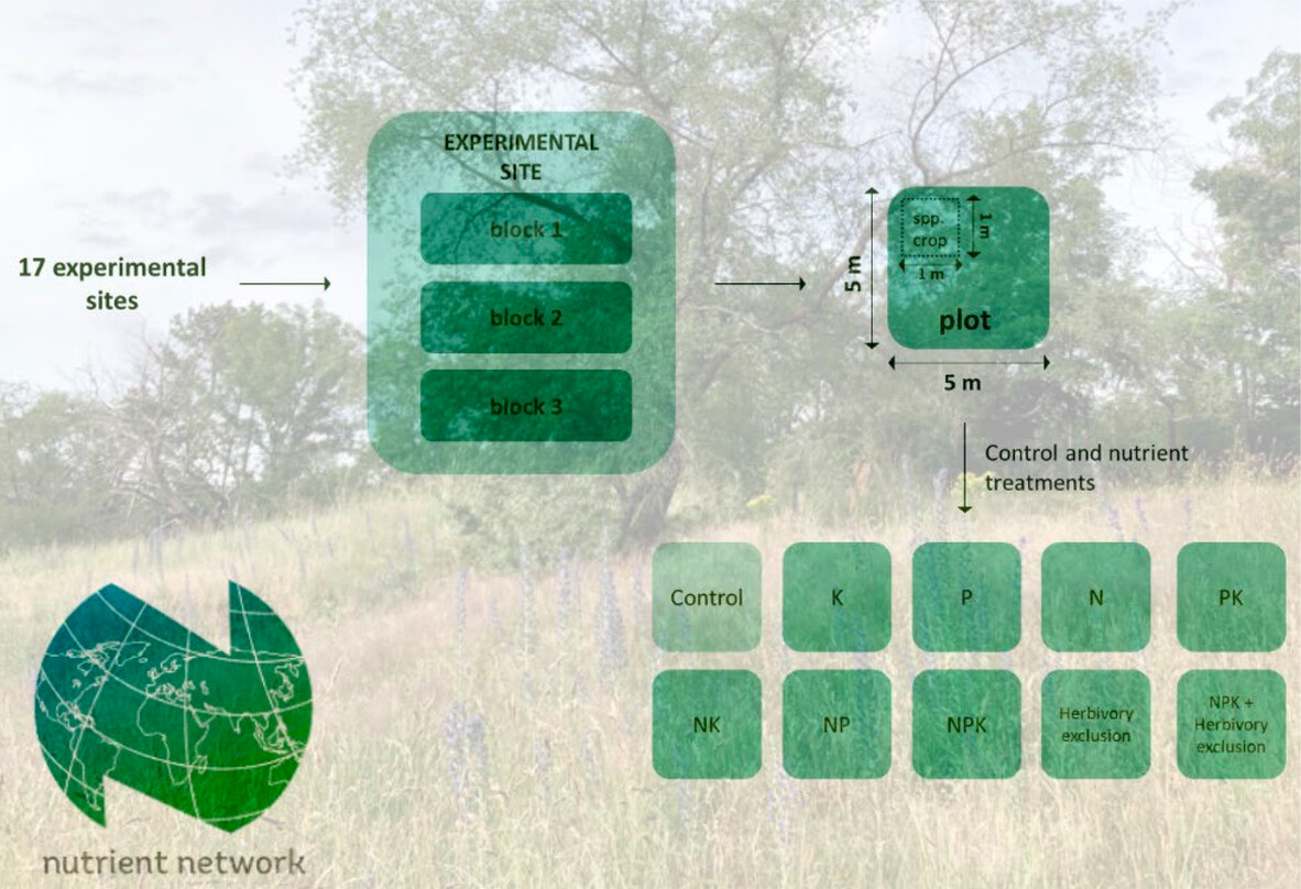 Successful Alien Plant Species Exhibit Functional Dissimilarity From Natives Under Varied Climatic Conditions but Not Under Increased Nutrient Availability