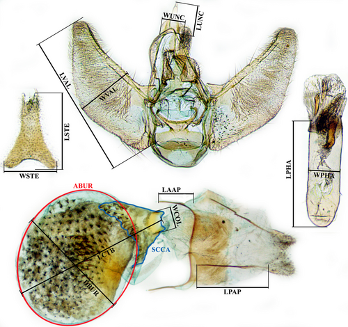 Details are in the caption following the image Details are in the caption following the image