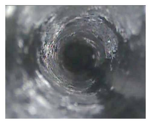 Details are in the caption following the image Details are in the caption following the image
