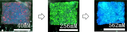 Polymerized Microgel Colloidal Crystals: Photonic Hydrogels with Tunable Band Gaps and Fast Response Rates