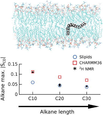 Atomistic MD Simulations of n-Alkanes in a Phospholipid Bilayer: CHARMM36 versus Slipids