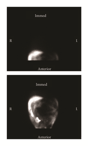 Details are in the caption following the image
