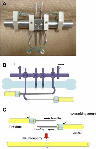 Details are in the caption following the image