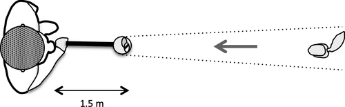 Details are in the caption following the image