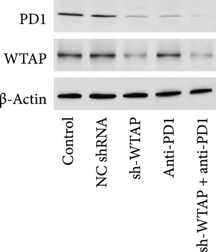Details are in the caption following the image