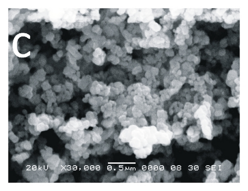 Details are in the caption following the image