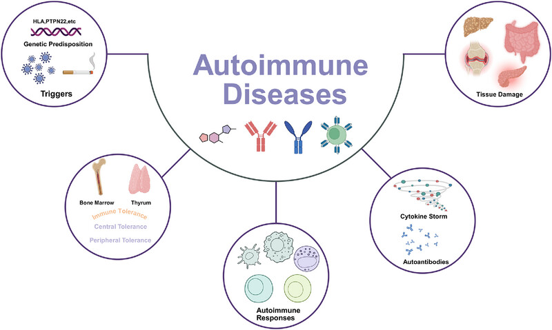 Autoimmune Diseases: Molecular Pathogenesis and Therapeutic Targets