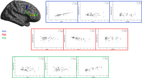 REVERSE phenotyping—Can the phenotype following constitutive Tph2 gene inactivation in mice be transferred to children and adolescents with and without adhd?