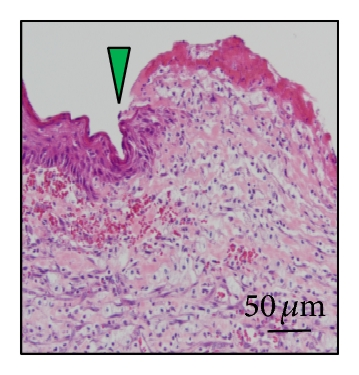 Details are in the caption following the image