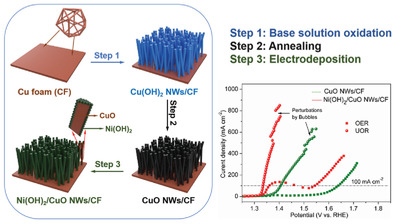 Hierarchical Structure of CuO Nanowires Decorated with Ni(OH)2 Supported on Cu Foam for Hydrogen Production via Urea Electrocatalysis
