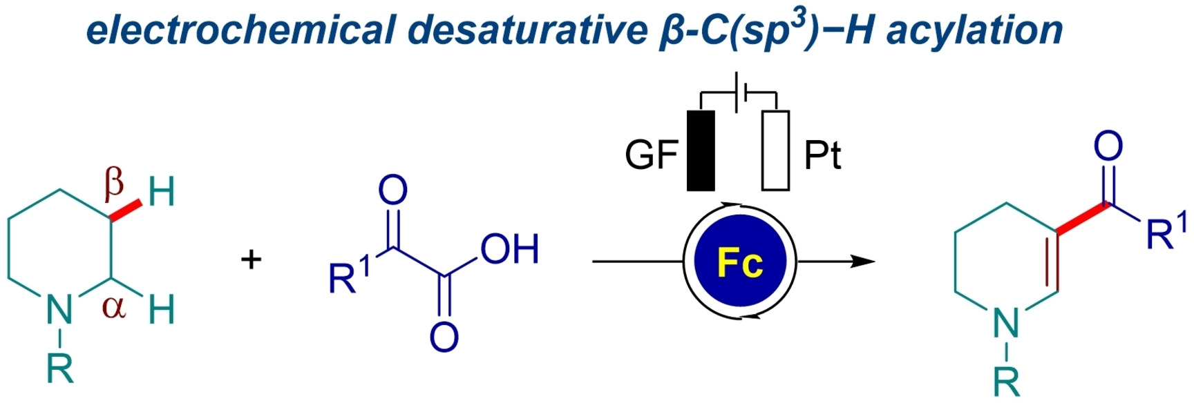 Electrochemical Desaturative β-Acylation of Cyclic N-Aryl Amines