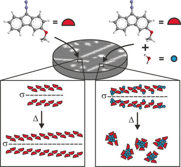 Imaging the Solvation of a One-Dimensional Solid on the Molecular Scale